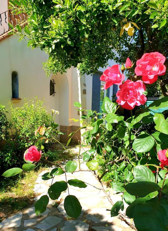 Studio Au Calme Tout Confort Proche Des Plages - Jardin Wifi Parking Fréjus Eksteriør bilde
